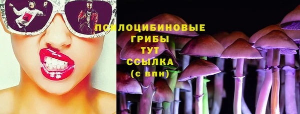 трава Бородино