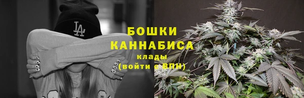 трава Бородино