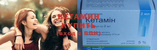 трава Бородино