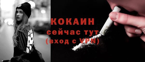 трава Бородино